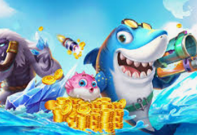 半岛星空足球app下载电脑免费版